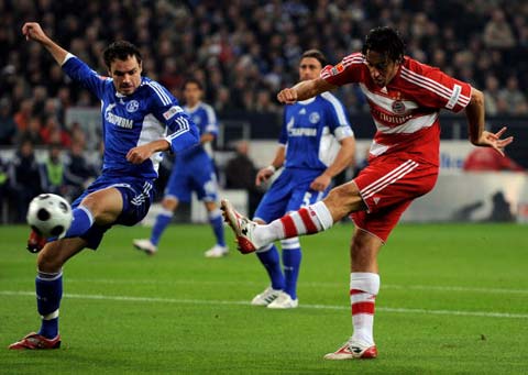 融入新的团 融入新的团